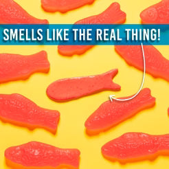 Crazy Aarons SCENTsory Putty - Swedish Sweets