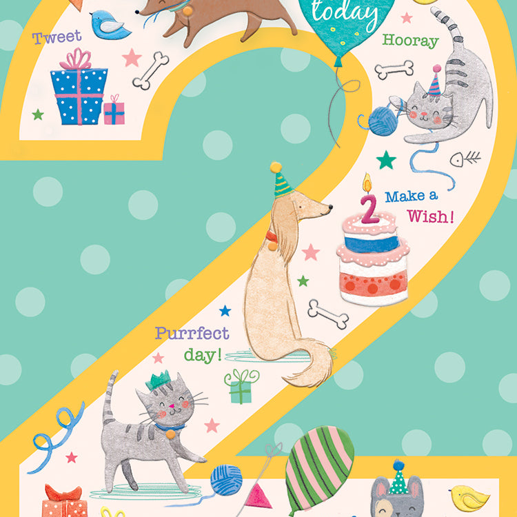 Birthday Card Number 2 Puppies and Kittens