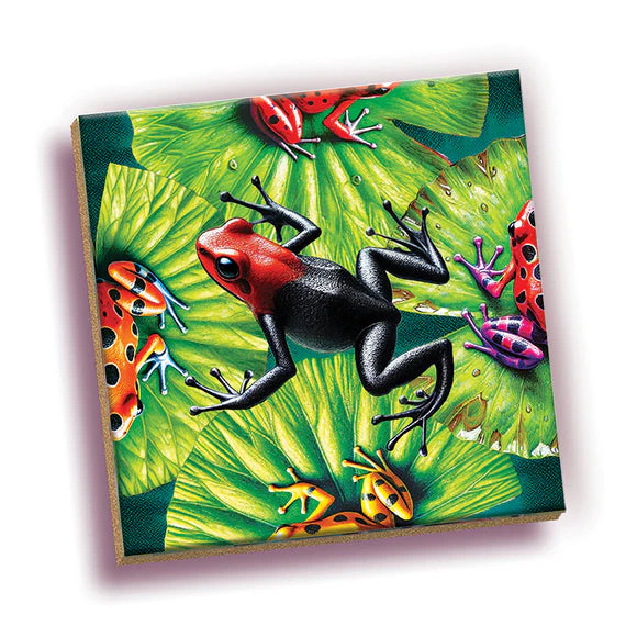Magic Square Puzzle - Frogs