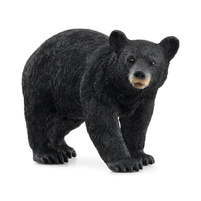 Schleich American Black Bear 14869