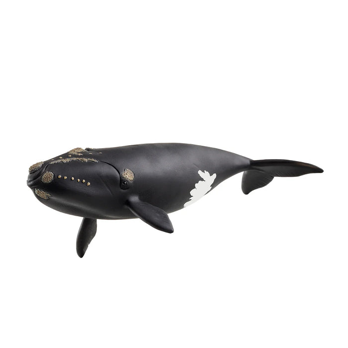 Schleich Atlantic Right Whale 14878