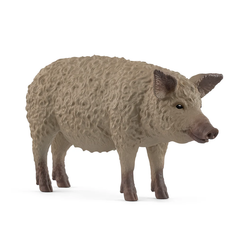 Schleich Mangalica Pig 14892