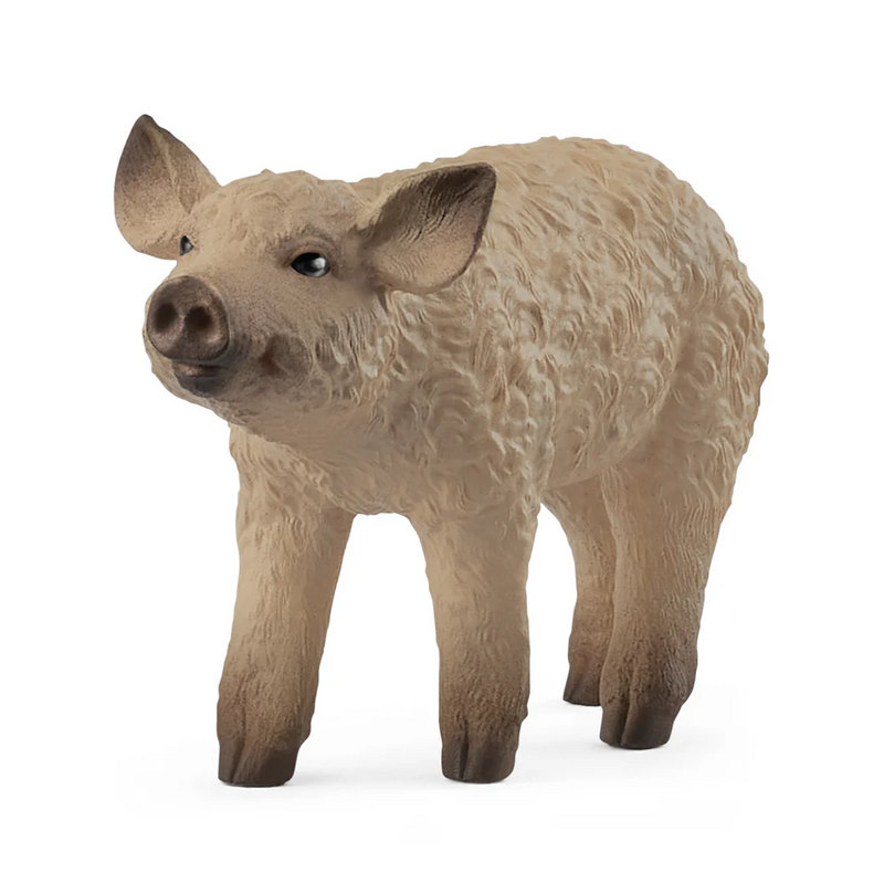 Schleich Mangalica Piglet 14893