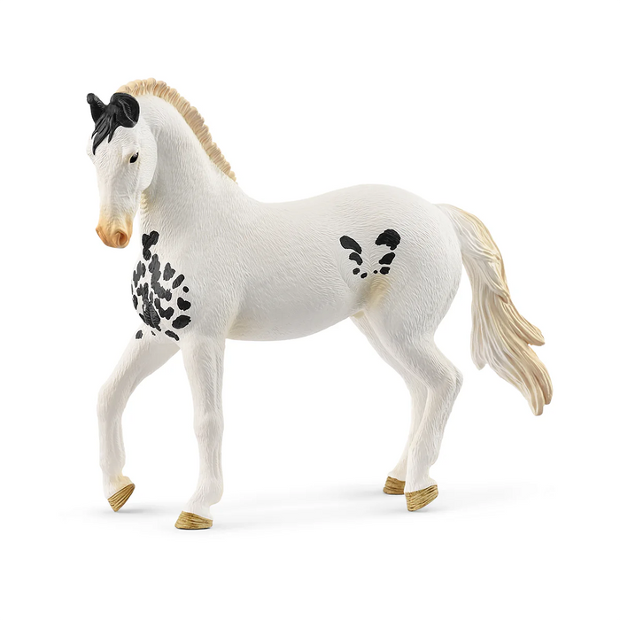 Schleich Marwari Stallion 14898