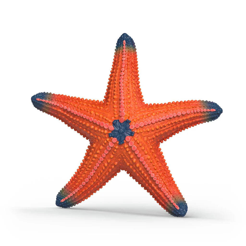 Schleich Starfish 14902