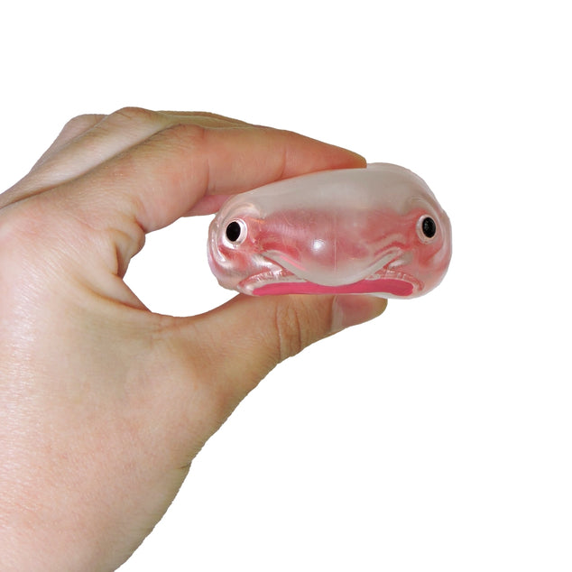Tiny Toys - Itty Bitty Squidgy Oddity