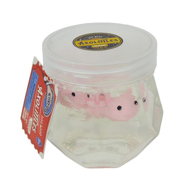 Tiny Toys - Itty Bitty Axolittles
