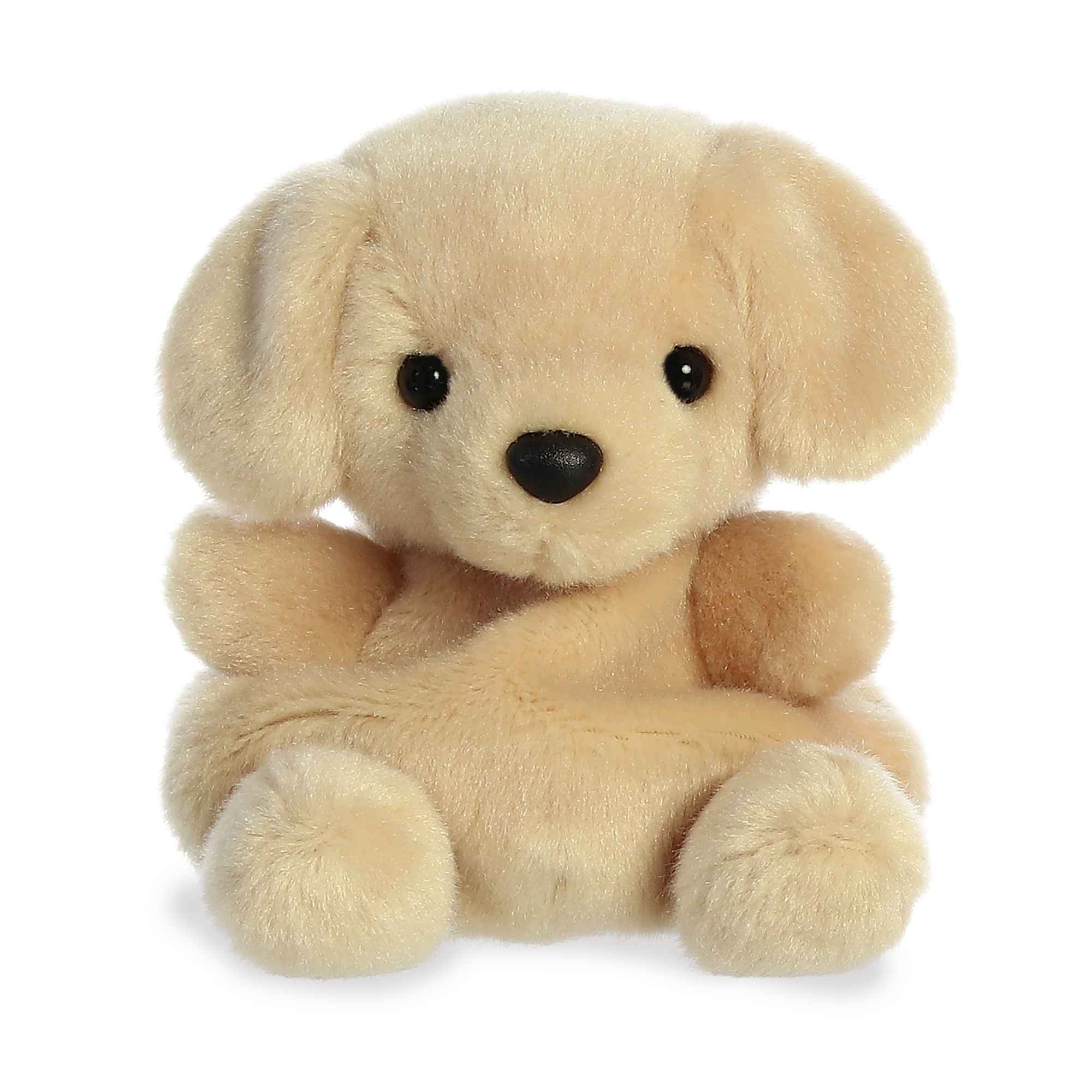 Palm Pals - Sunny Lab (Dog)