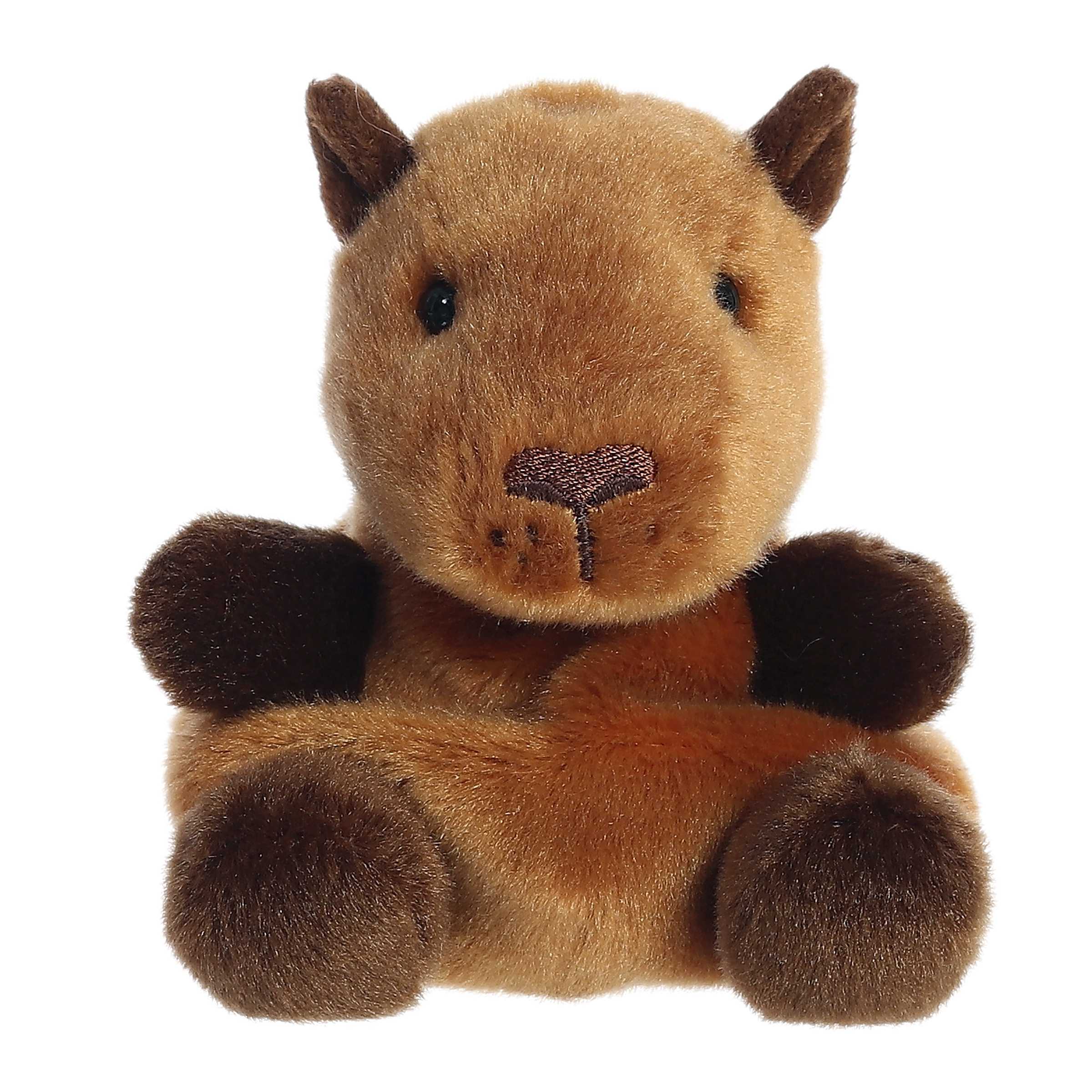 Palm Pals - Sid Capybara