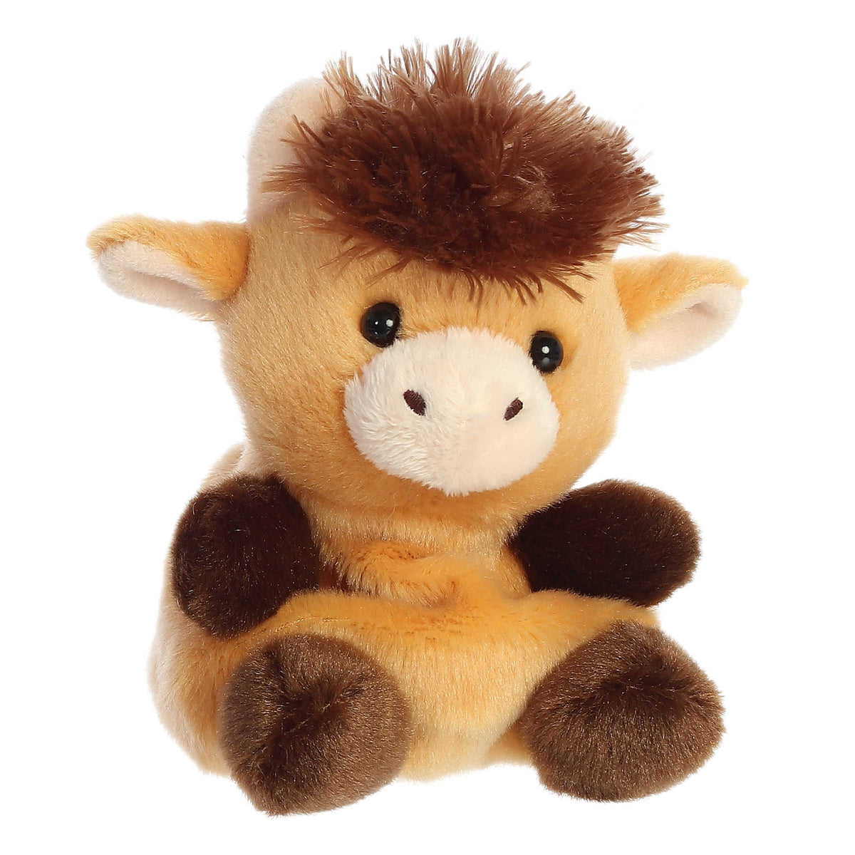Palm Pals - Hubert Highland Cow