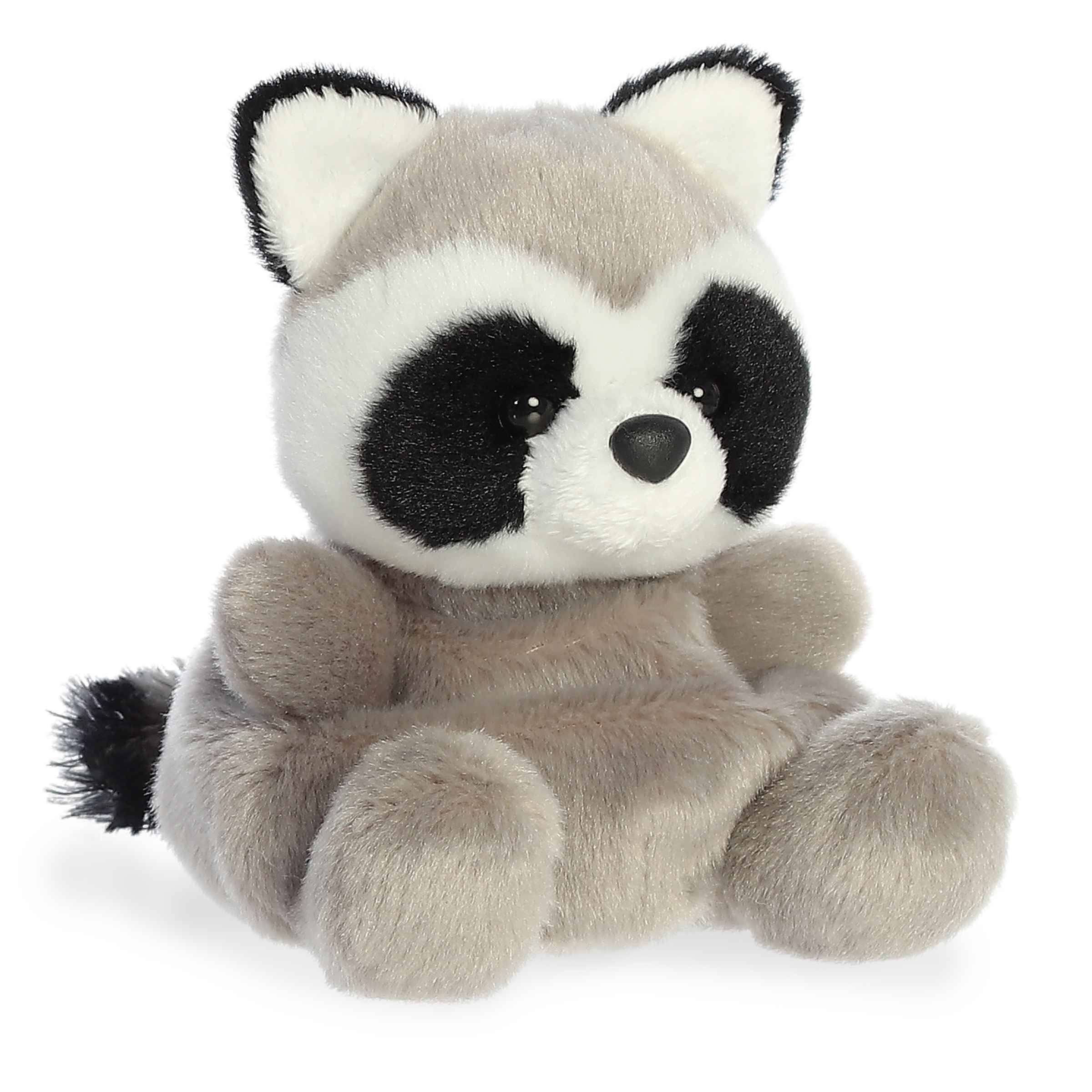 Palm Pals - Rascal Raccoon