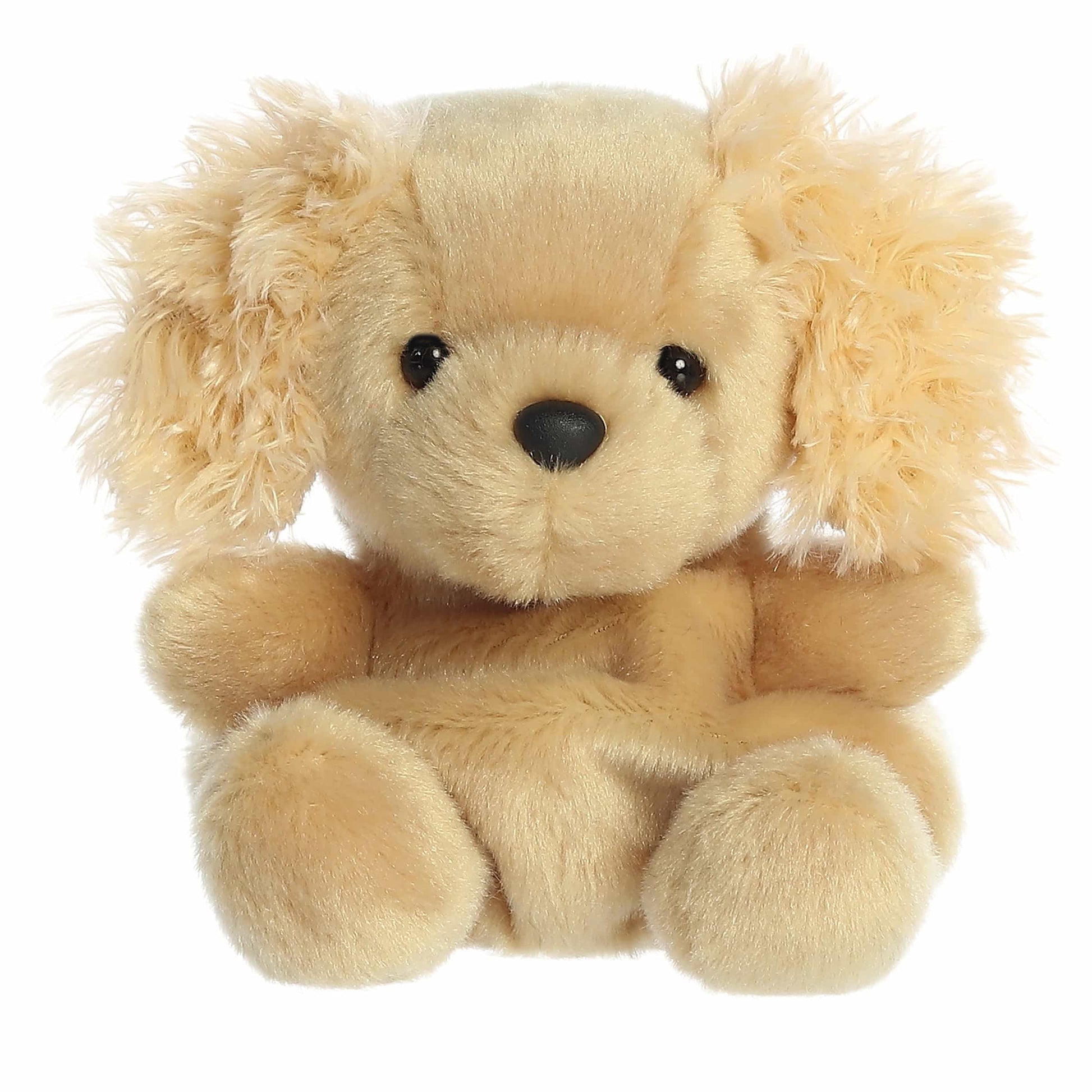 Palm Pals - Oatmeal Goldendoodle