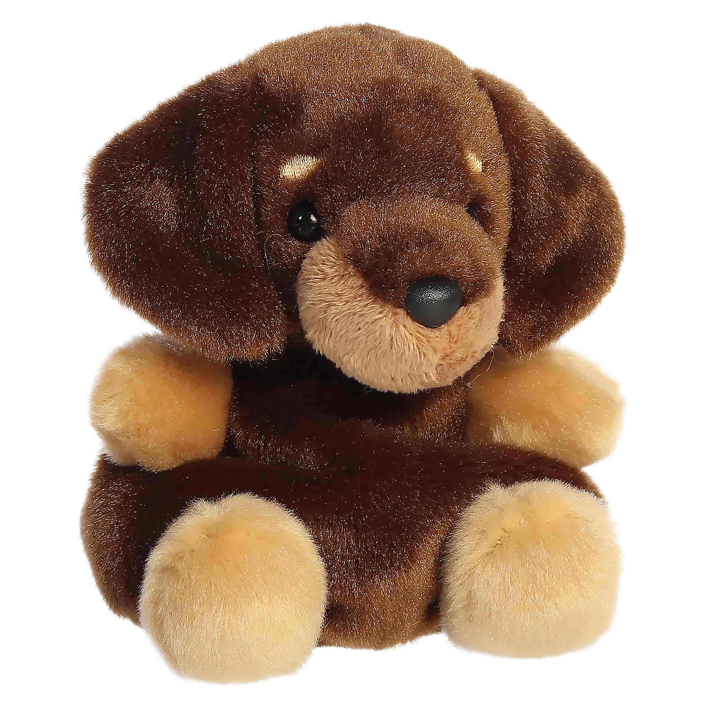 Palm Pals - Houdini Dachshund