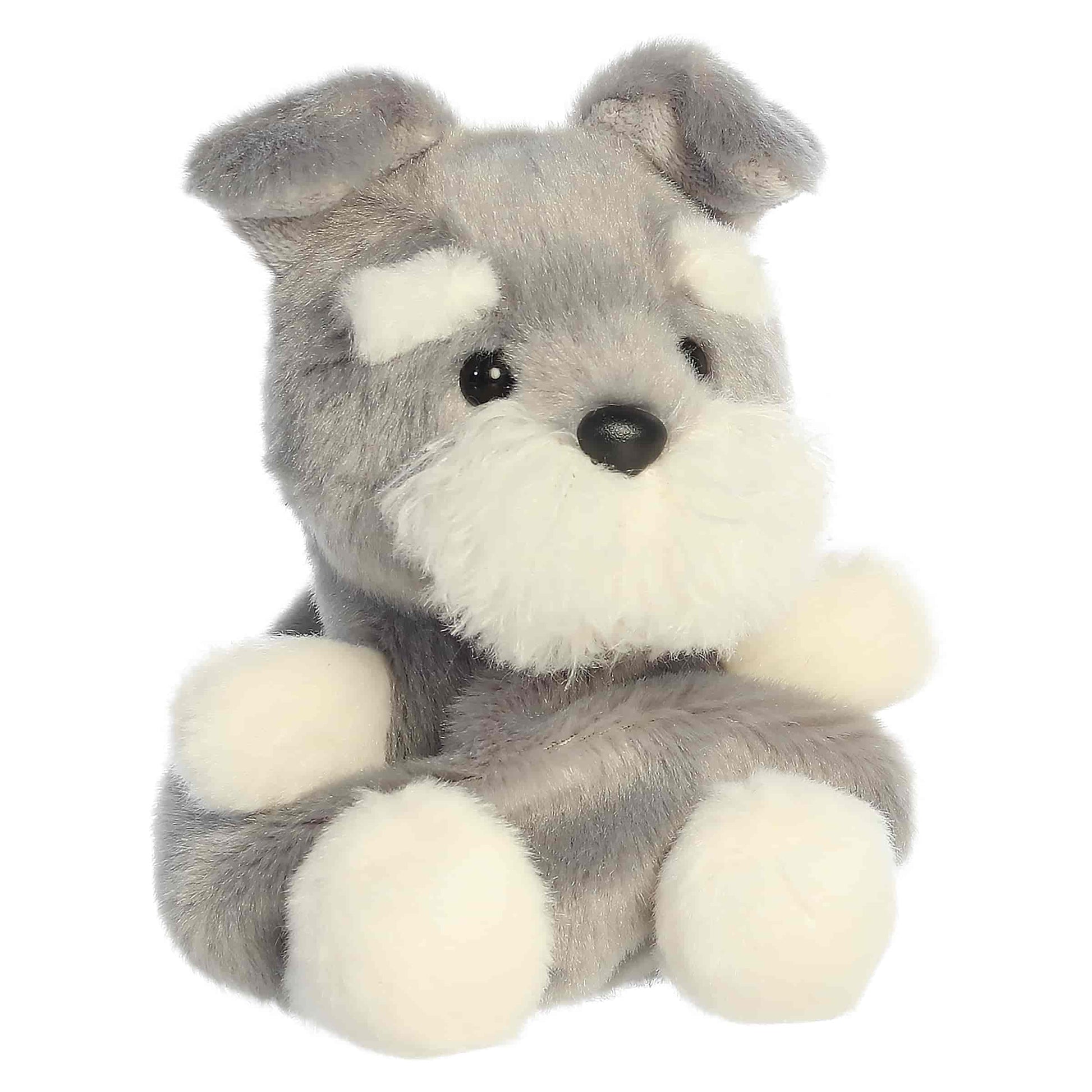 Palm Pals - Korra Schnauzer
