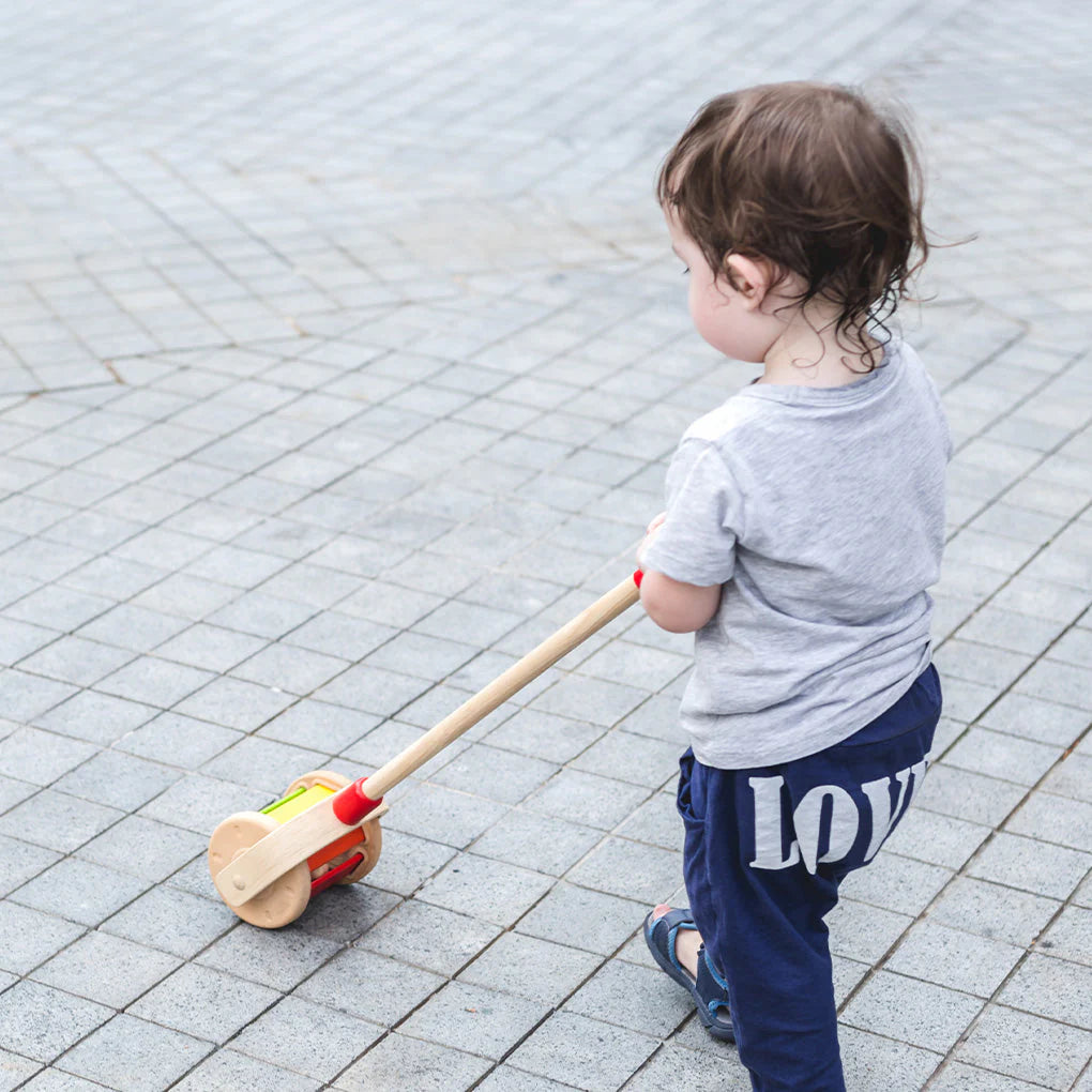 Plan Toys Walk N Roll