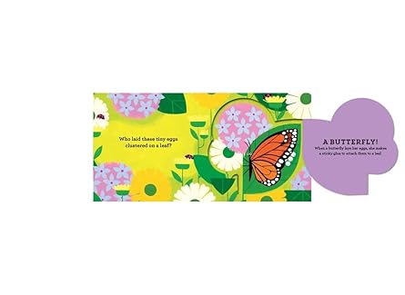 Who Laid These Eggs?: A Lift-the-Flap Book