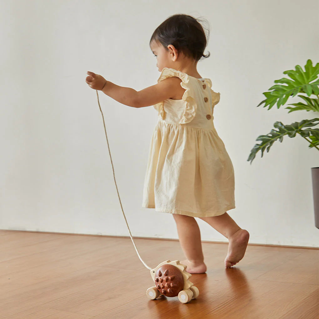 Plan Toys Pull-Along Hedgehog