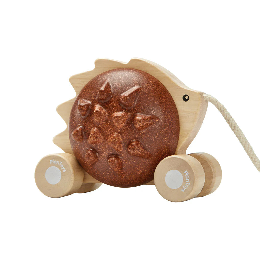 Plan Toys Pull-Along Hedgehog