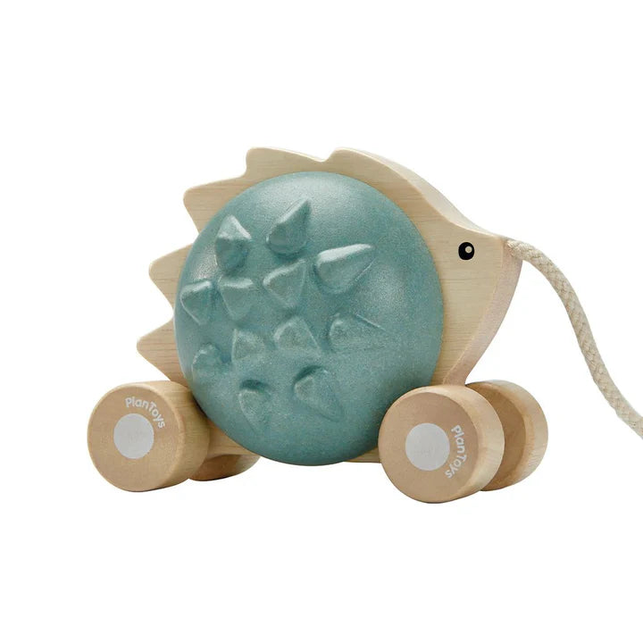 Plan Toys Pull-Along Hedgehog - Blue