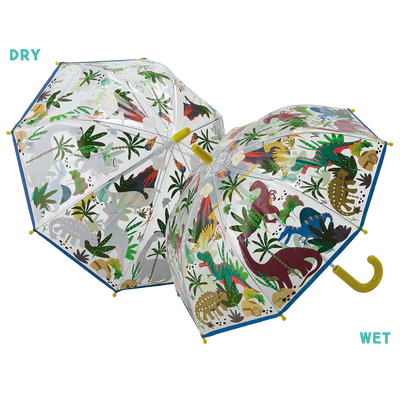 Colour Changing Transparent Umbrella - Various Styles