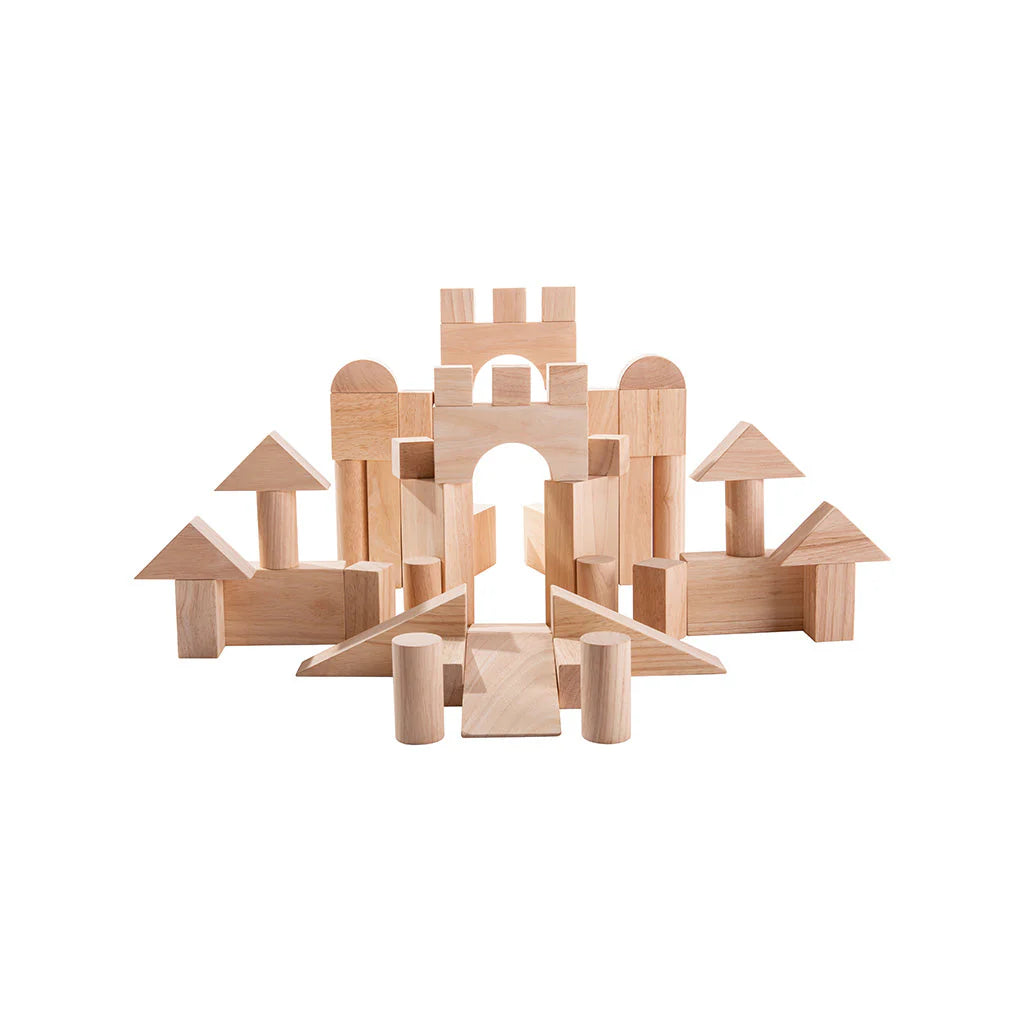 Plan Toys 50 Unit Blocks