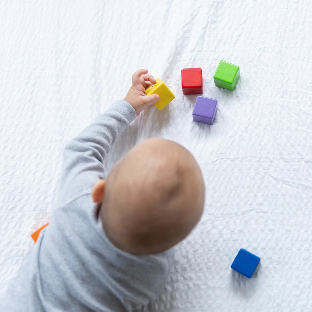 Plan Toys Activity Blocks