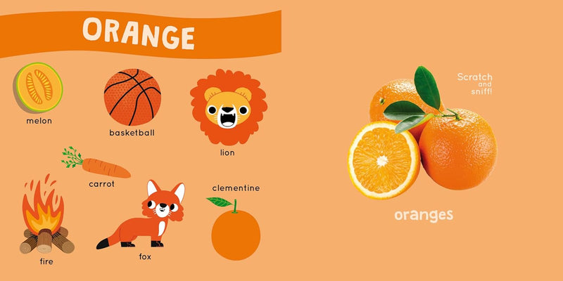 My First Scratch and Sniff Book - Fruits