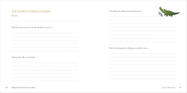 Baby's First-Year Memory Book