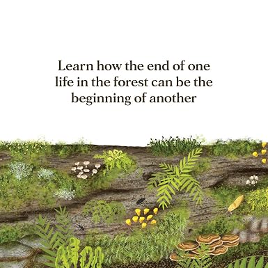 When a Tree Falls