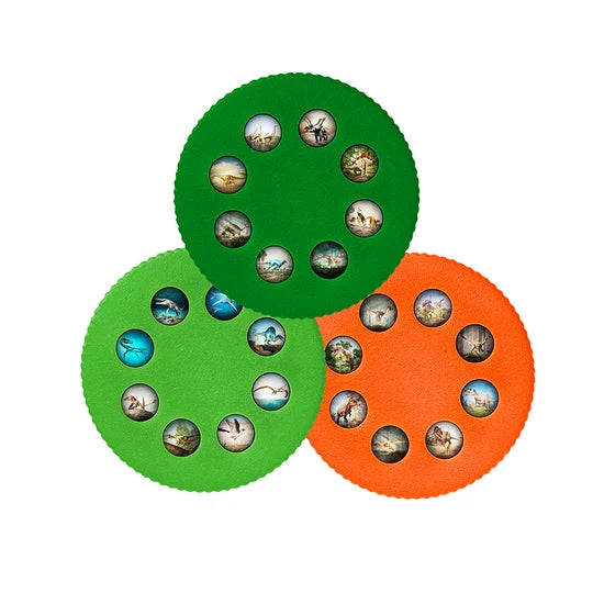 Wonder Lights: Educational Flashlight Projector - Dinosaurs