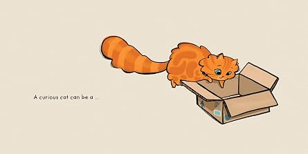 Cat Shapes