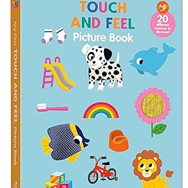 My First Touch and Feel Picture Book