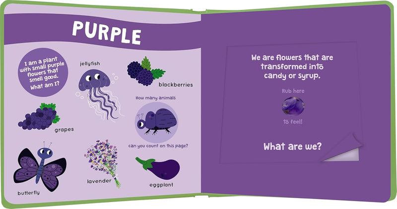 My First Scratch and Sniff Book - Nature