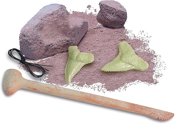 Glow Shark Tooth Fossil