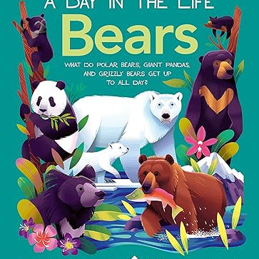 A Day In The Life: Bears