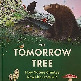 Tomorrow Tree: How Nature Creates New Life From Old
