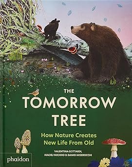 Tomorrow Tree: How Nature Creates New Life From Old