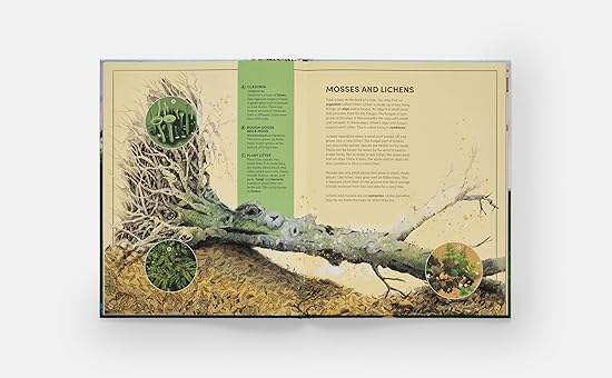 Tomorrow Tree: How Nature Creates New Life From Old