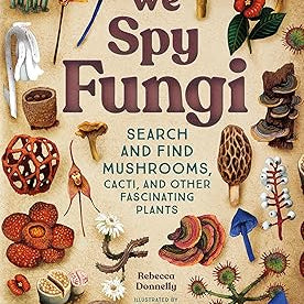 We Spy Fungi