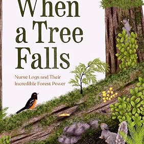 When a Tree Falls