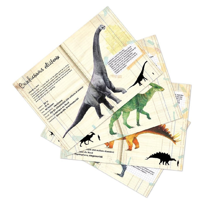 Vilac Dinosaur Box of Magnets