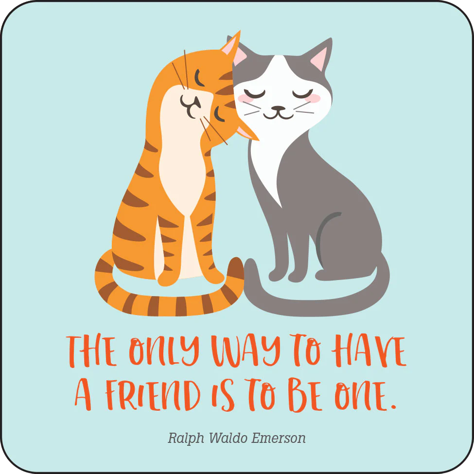 Kindness Lunch Box Notes For Kids!