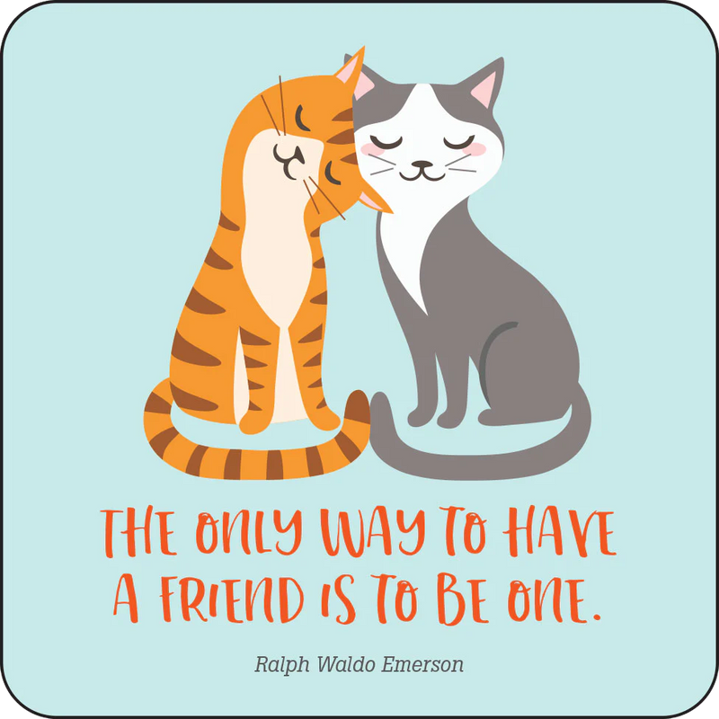 Kindness Lunch Box Notes For Kids!