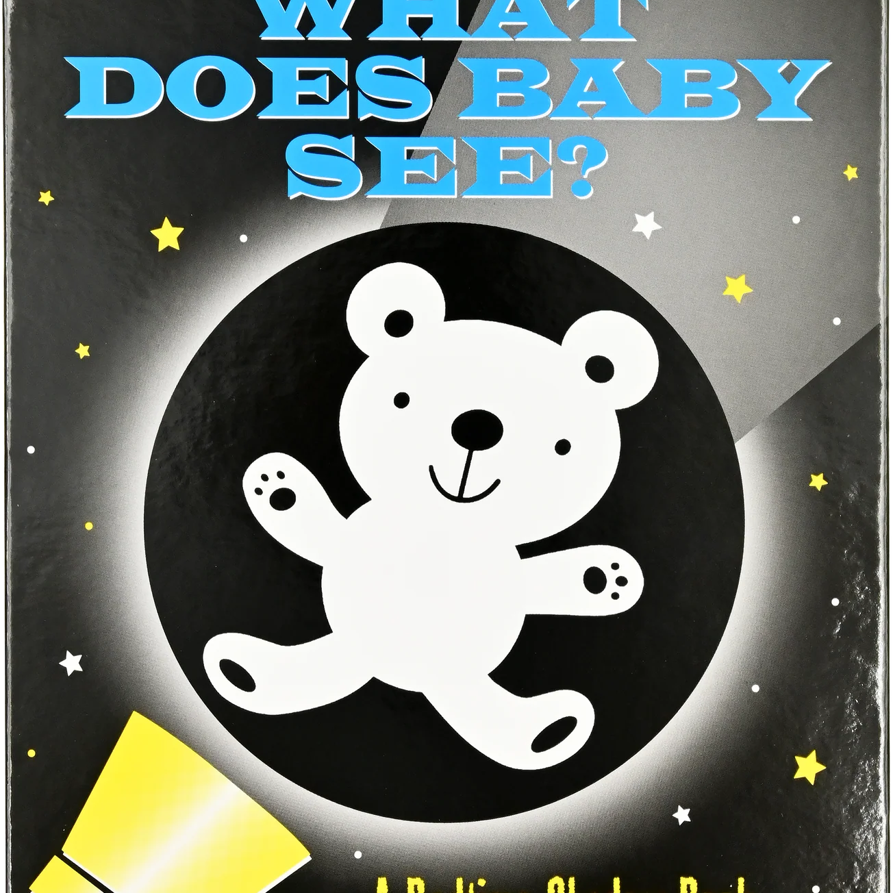 A Bedtime Shadow Book - What Does Baby See?