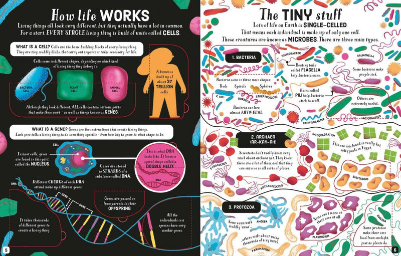 Usborne Lift-the-Flap: Biology