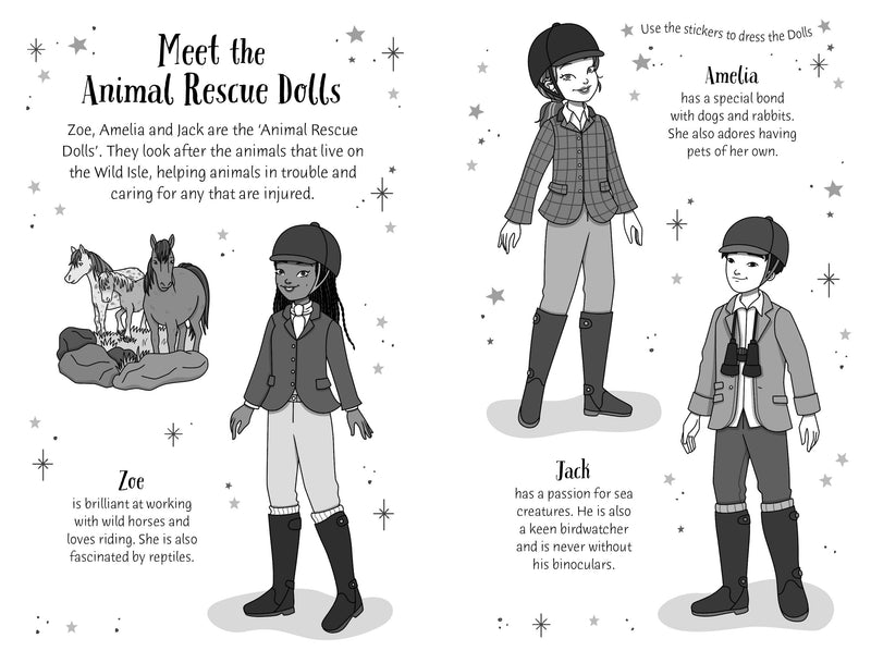 Usborne A Sticker Dolly Story - Dream Pony