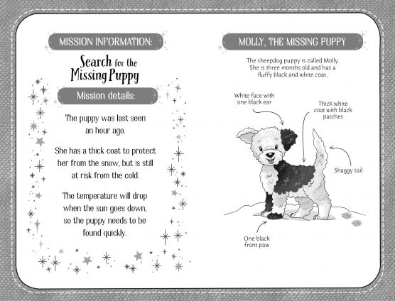 Usborne A Sticker Dolly Story - Snow Puppy