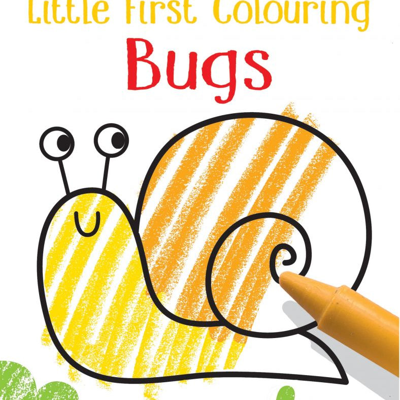 Usborne Little First Colouring Bugs