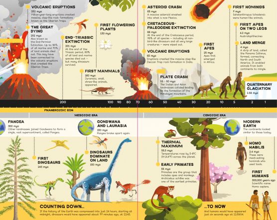Usborne Fold-Out Timeline Planet Earth