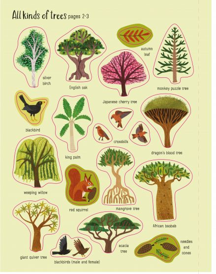 Usborne First Sticker Book - Trees